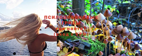 СК Абдулино