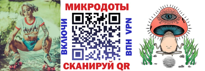 где найти   Приволжский  Псилоцибиновые грибы Psilocybe 